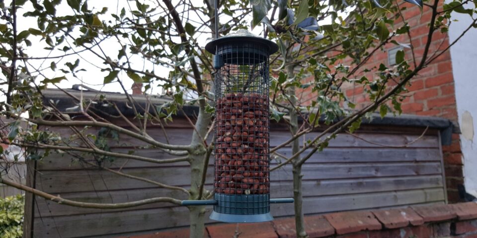 Bird feeder with no birds