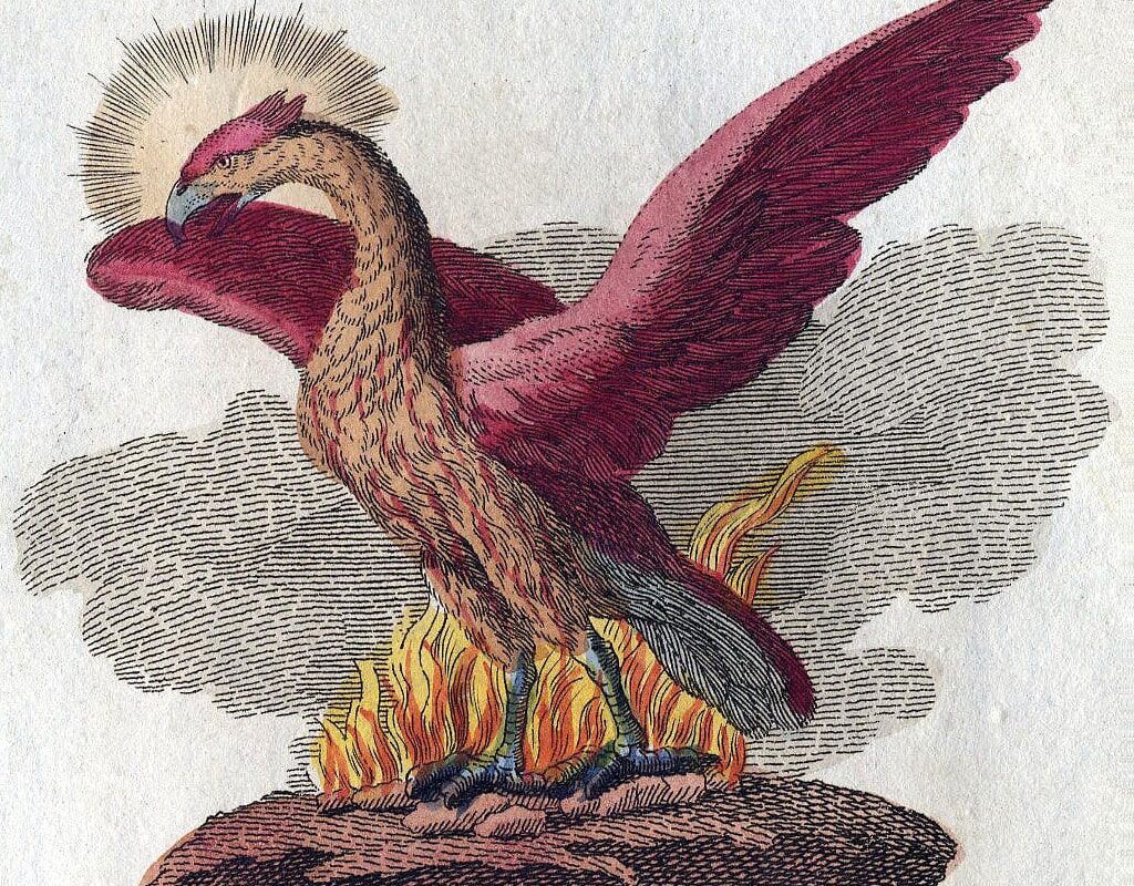 A phoenix depicted in a book of mythological creatures by FJ Bertuch (1747–1822).