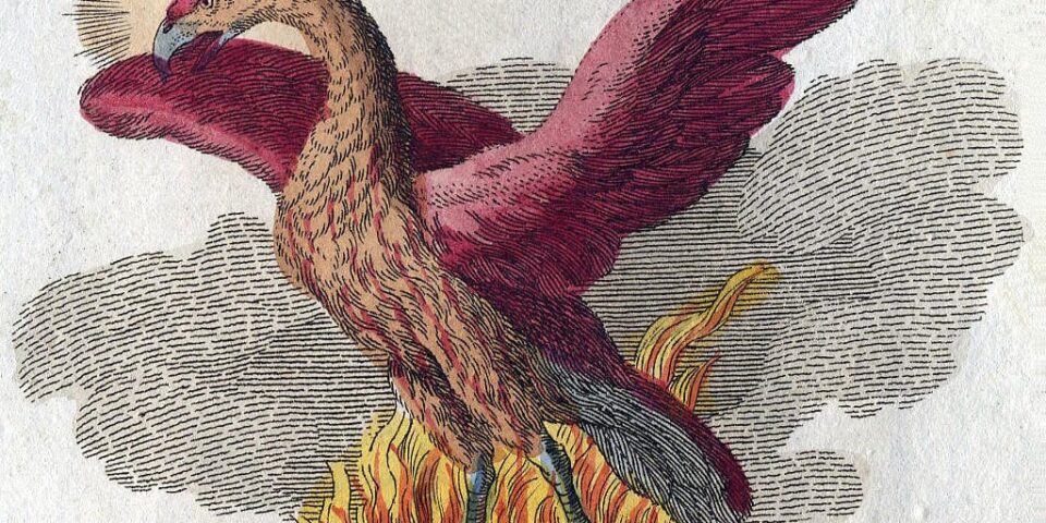 A phoenix depicted in a book of mythological creatures by FJ Bertuch (1747–1822).