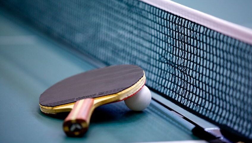 Table tennis net, bat and ball