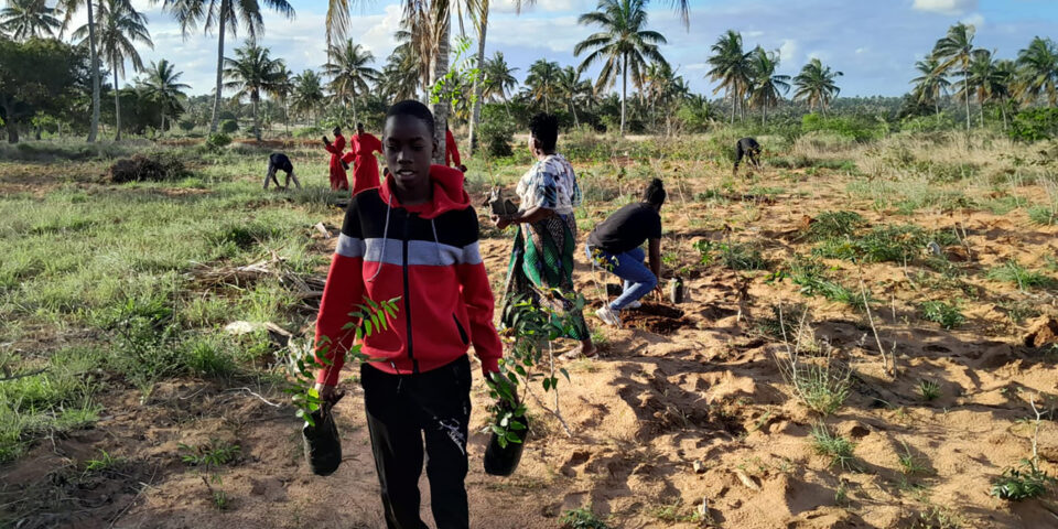 African people planting trees