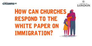 Flyer for webinar on the white paper on immigration