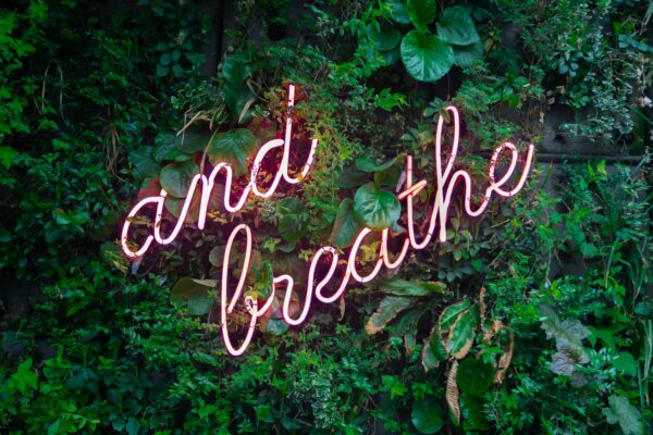 neon sign reading "and breathe" on a background of green plants