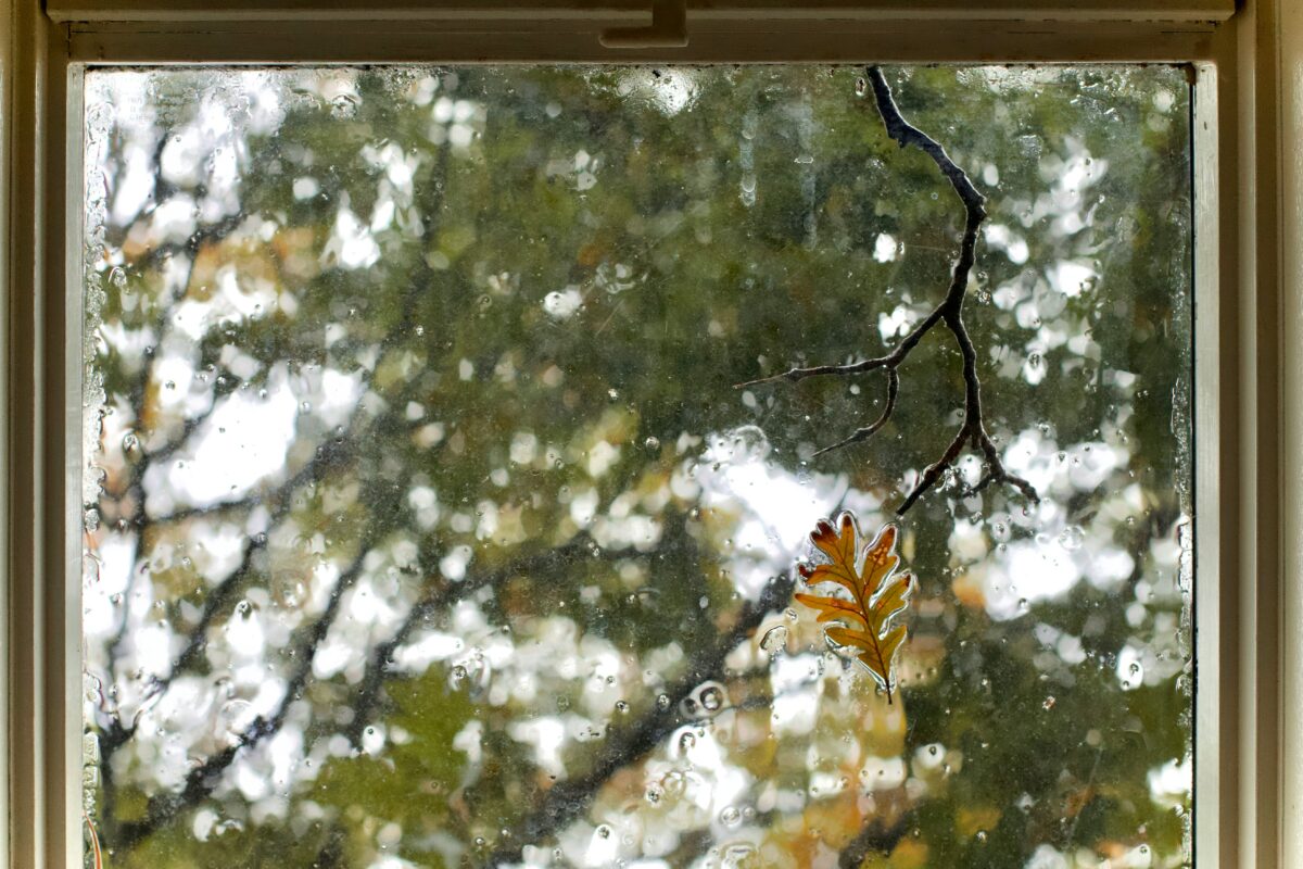 Window with droplets and autumn leaves
