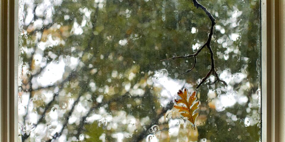 Window with droplets and autumn leaves
